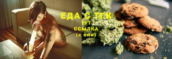 хмурый Алзамай