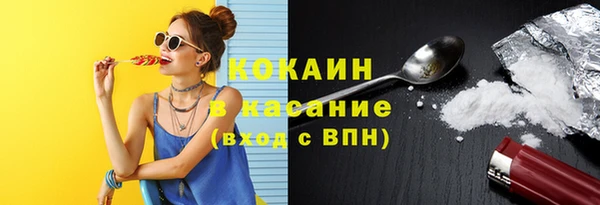 хмурый Алзамай