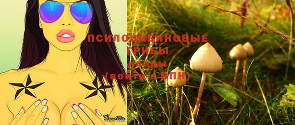 бошки Алексин