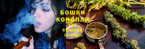 бошки Алексин