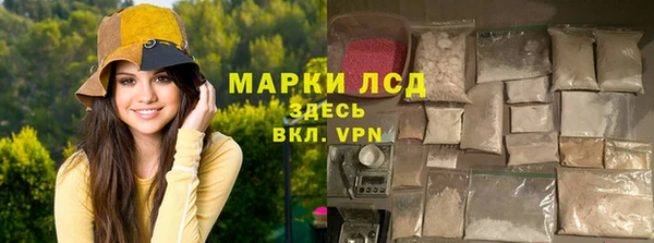 хмурый Алзамай