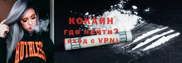 хмурый Алзамай